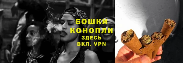 сатива Гатчина
